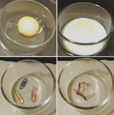 (Arriba) La proteína [albúmina](https://es.wikipedia.org/wiki/Albúmina) de la clara de huevo se desnaturaliza y pierde solubilidad cuando se cocina el huevo. (Abajo) Los clips proporcionan una analogía visual para ayudar a conceptualizar el proceso de desnaturalización. Fuente: https://commons.wikimedia.org/wiki/File:Protein_Denaturation.png.