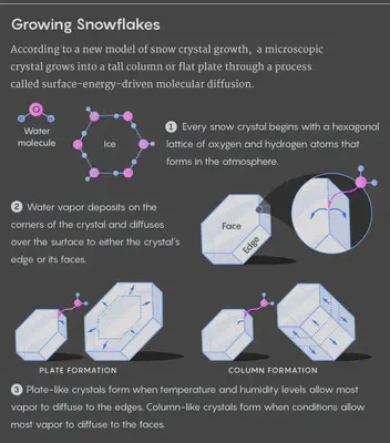 Según un nuevo modelo de crecimiento de cristales de nieve, un cristal microscópico crece hasta convertirse en una columna alta o en una placa plana mediante un proceso denominado [difusión molecular](https://es.wikipedia.org/wiki/Difusión_molecular) impulsada por la [energía superficial](https://es.wikipedia.org/wiki/Energía_superficial). Fuente: https://www.quantamagazine.org/toward-a-grand-unified-theory-of-snowflakes-20191219/.
